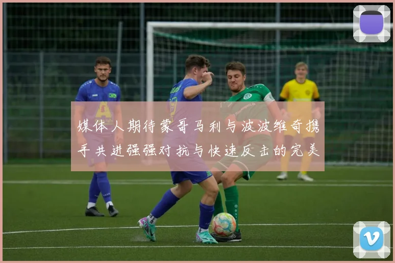 媒体人期待蒙哥马利与波波维奇携手共进强强对抗与快速反击的完美结合